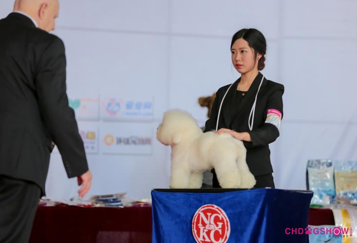 p>南京瑞琪宠物美容培训学校(南京瑞琪宠物服务)位于南京市